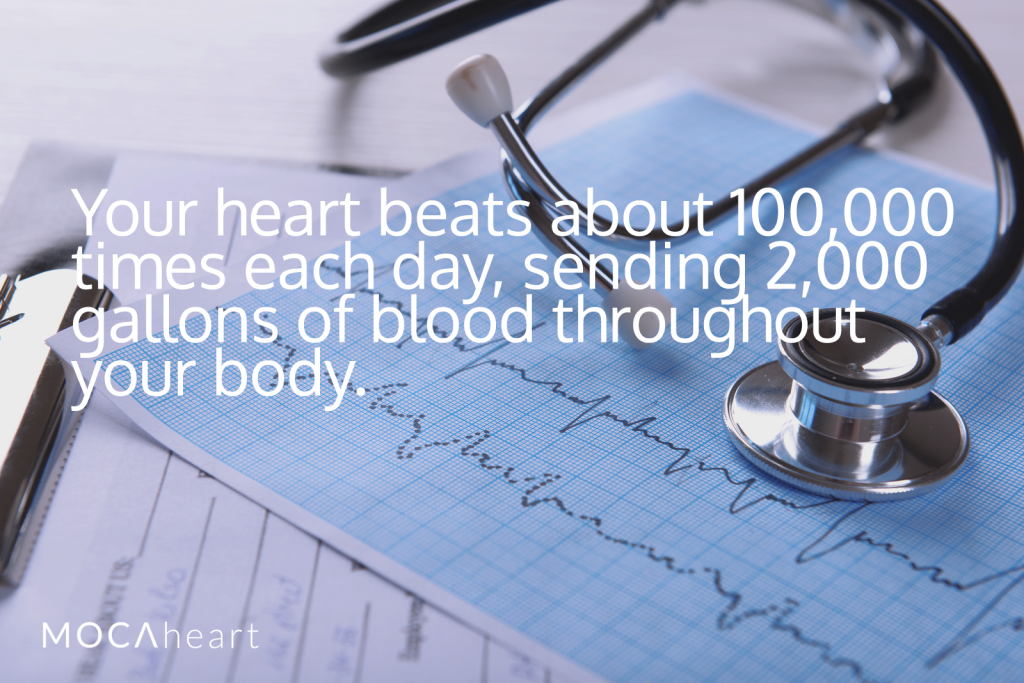 Heart Health Facts and Tips Heartbeat