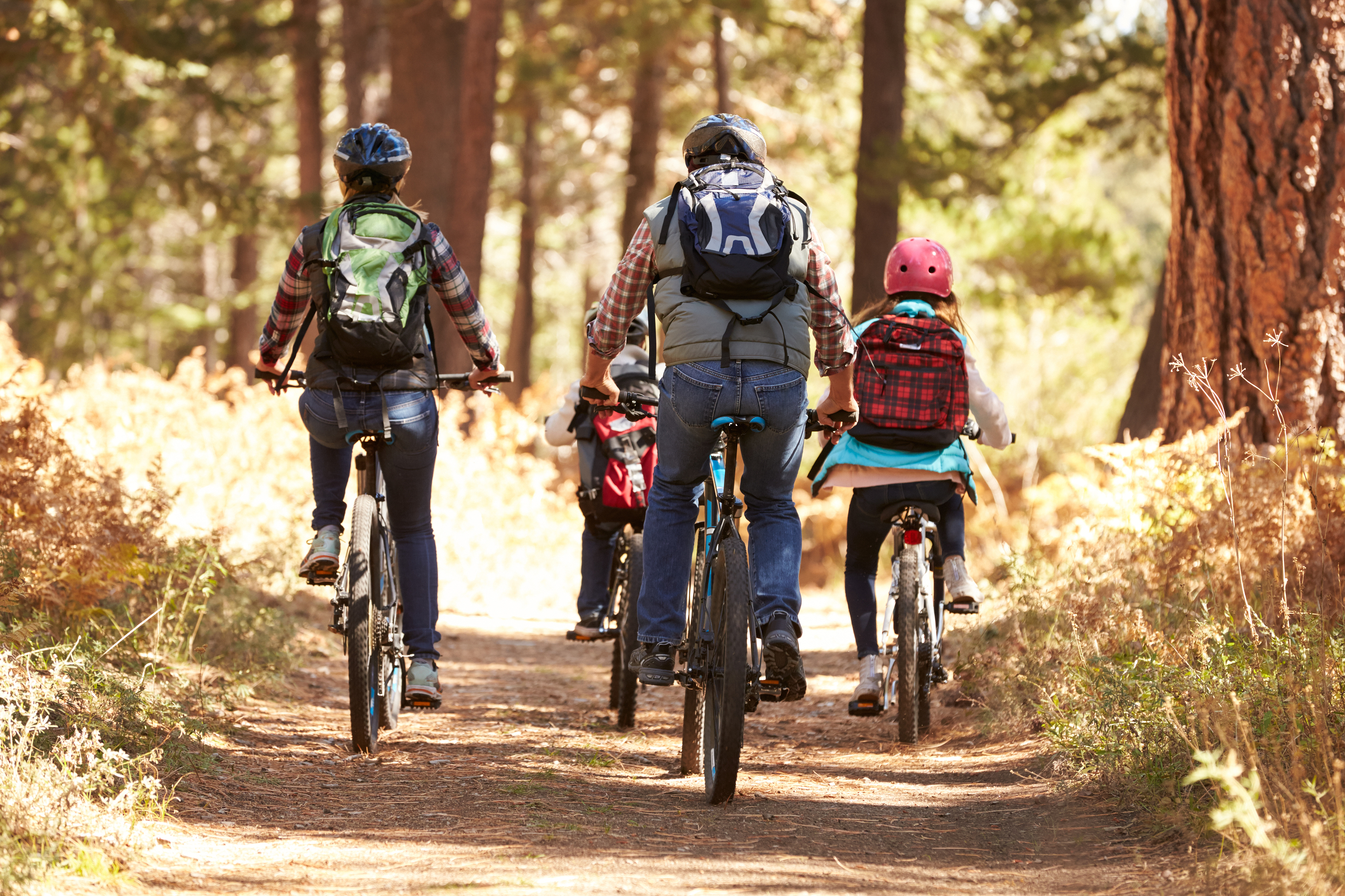 MOCAheart-Summer-Activities-Cycling